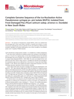 Complete Genome Sequence of the Ice-Nucleation-Active Pseudomonas syringae pv. pisi Isolate MUP32, Isolated from Frost-Damaged Pea (Pisum sativum subsp. arvense cv. Dundale) in New South Wales