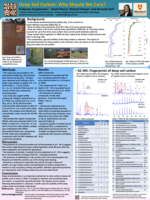 Deep Soil Carbon: Why Should We Care?