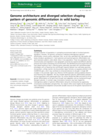 Genome architecture and diverged selection shaping pattern of genomic differentiation in wild barley
