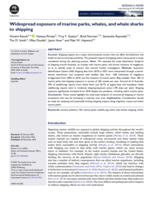 Widespread exposure of marine parks, whales, and whale sharks to shipping
