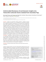 Antimicrobial Resistance of and Genomic Insights into Pasteurella multocida Strains Isolated from Australian Pigs
