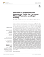 Feasibility of a Sheep Welfare Assessment Tool in the Pre-export Phase of Australian Live Export Industry