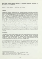 How did treeline white spruce at Churchill, Manitoba respond to conditions around 1816?