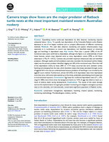 Camera traps show foxes are the major predator of flatback turtle nests at the most important mainland western Australian rookery
