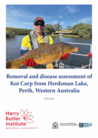 Removal and disease assessment of Koi Carp from Herdsman Lake. Summary report 2023