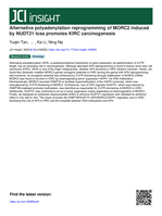 Alternative polyadenylation reprogramming of MORC2 induced by NUDT21 loss promotes KIRC carcinogenesis