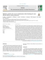 Methane, growth and carcase considerations when breeding for more efficient Merino sheep production