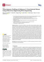 Transcriptomic Profiling of Influenza A Virus-Infected Mouse Lung at Recovery Stage Using RNA Sequencing