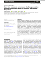 More than one way to eat a mouse: Skull shape variation within a monophyletic group of mammals (Marsupialia; Dasyurinae)