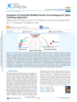 Evaluation of Chemically Modified Nucleic Acid Analogues for Splice Switching Application