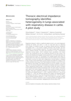 Thoracic electrical impedance tomography identifies heterogeneity in lungs associated with respiratory disease in cattle. A pilot study