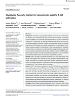 Glycolysis: An early marker for vancomycin‐specific T‐cell activation