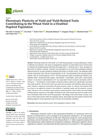 Phenotypic Plasticity of Yield and Yield-Related Traits Contributing to the Wheat Yield in a Doubled Haploid Population