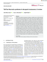 Tail Fan Necrosis syndrome in decapod crustaceans: A review