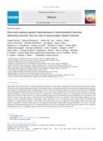 Rare and common genetic determinants of mitochondrial function determine severity but not risk of amyotrophic lateral sclerosis