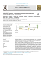 Diversity of Gibberellin 2-oxidase genes in the barley genome offers opportunities for genetic improvement