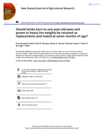 Should lambs born to one-year-old ewes and grown to heavy live weights be retained as replacements and mated at seven months of age?