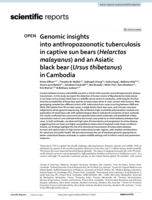 Genomic insights into anthropozoonotic tuberculosis in captive sun bears (Helarctos malayanus) and an Asiatic black bear (Ursus thibetanus) in Cambodia