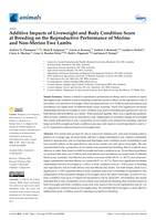 Additive Impacts of Liveweight and Body Condition Score at Breeding on the Reproductive Performance of Merino and Non-Merino Ewe Lambs