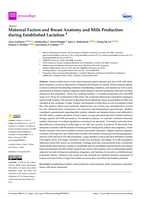 Maternal Factors and Breast Anatomy and Milk Production during Established Lactation