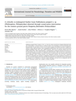 A critically co-endangered feather louse Forficuloecus pezopori n. sp. (Phthiraptera: Philopteridae) detected through conservation intervention for the western ground parrot Pezoporus flaviventris (Psittaculidae)