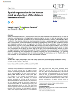Spatial Organisation in the Human Mind as a Function of the Distance Between Stimuli
