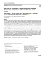 High-Grade REE accumulation in regolith: Insights from supergene alteration of an apatite-rich vein at the Kapunda Cu mine, South Australia