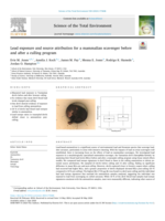 Lead exposure and source attribution for a mammalian scavenger before and after a culling program