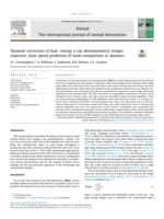 Dynamic correction of dual energy X-ray absorptiometry images improves chain speed prediction of lamb composition in abattoirs