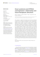 Down syndrome and DYRK1A overexpression: relationships and future therapeutic directions