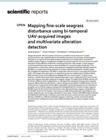 Mapping fine-scale seagrass disturbance using bi-temporal UAV-acquired images and multivariate alteration detection
