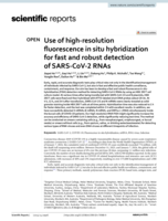 Use of high-resolution fluorescence in situ hybridization for fast and robust detection of SARS-CoV-2 RNAs
