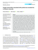 Fungal communities associated with postharvest strawberries in Western Australia