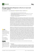Divergent Heat Stress Responses in Bactrocera tryoni and Ceratitis capitata
