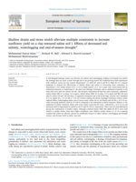Shallow drains and straw mulch alleviate multiple constraints to increase sunflower yield on a clay-textured saline soil I. Effects of decreased soil salinity, waterlogging and end-of-season drought