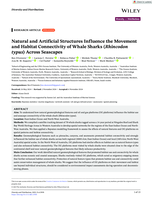 Natural and Artificial Structures Influence the Movement and Habitat Connectivity of Whale Sharks ( Rhincodon typus ) Across Seascapes