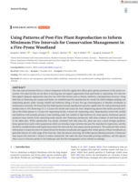 Using Patterns of Post‐Fire Plant Reproduction to Inform Minimum Fire Intervals for Conservation Management in a Fire‐Prone Woodland