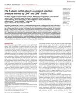 HIV-1 adapts to HLA class II-associated selection pressure exerted by CD4 + and CD8 + T cells