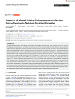 Potential of Mussel Habitat Enhancement to Alleviate Eutrophication in Nutrient‐Enriched Estuaries