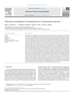 Taphonomy and diagenesis of submerged bone: an experimental approach
