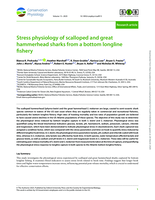 Stress physiology of scalloped and great hammerhead sharks from a bottom longline fishery