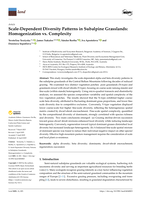 Scale-Dependent Diversity Patterns in Subalpine Grasslands: Homogenization vs. Complexity