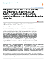 Integrative multi-omics data provide insights into the biosynthesis of furanocoumarins and mechanisms regulating their accumulation in Angelica dahurica