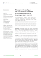 Microphysiological gut-on-chip enables extended in vitro development of Cryptosporidium hominis