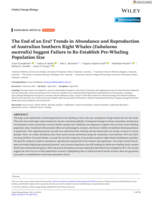 The End of an Era? Trends in Abundance and Reproduction of Australian Southern Right Whales (Eubalaena australis) Suggest Failure to Re-Establish Pre-Whaling Population Size