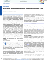 Progressive hepatopathy after central division hepatectomy in a dog