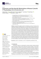 Expression and Site-Specific Biotinylation of Human Cytosolic 5′-Nucleotidase 1A in Escherichia coli