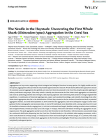 The Needle in the Haystack: Uncovering the First Whale Shark (Rhincodon typus) Aggregation in the Coral Sea