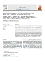 Epidemiological investigation of Riemerella anatipestifer in large-scale chicken farms in 29 provinces of China from 2021 to 2024