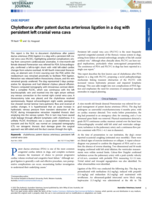 Chylothorax after patent ductus arteriosus ligation in a dog with persistent left cranial vena cava